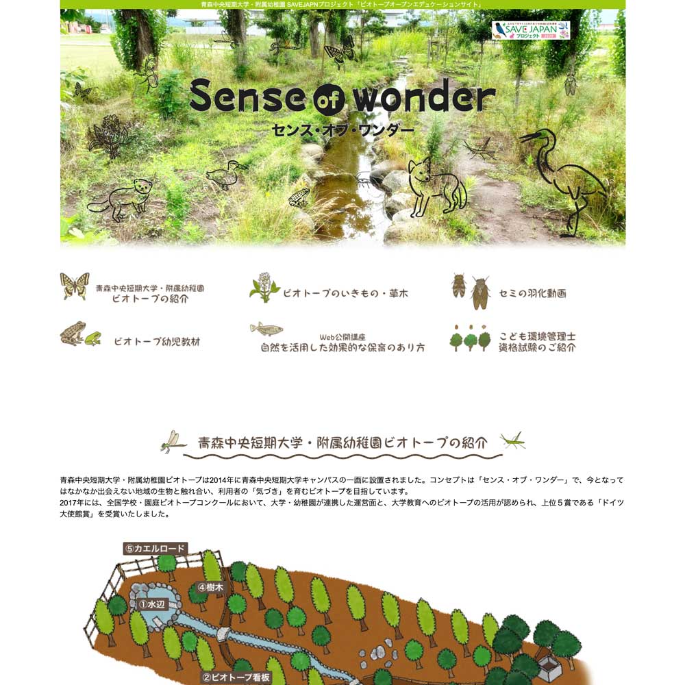 sense-of-wonder